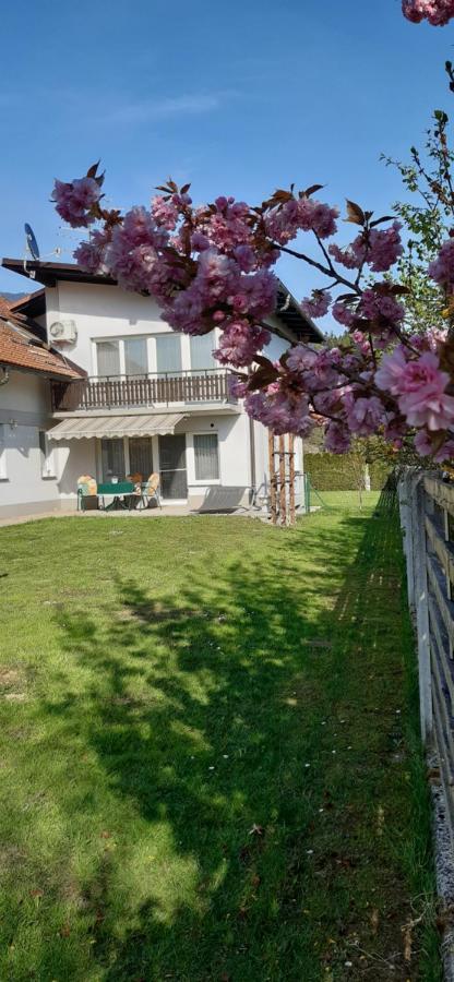 Apartmaji Mojca Križe Екстериор снимка