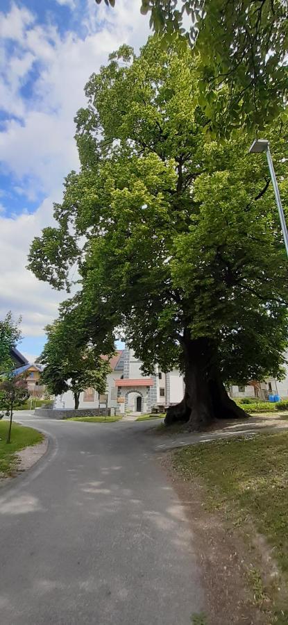 Apartmaji Mojca Križe Екстериор снимка