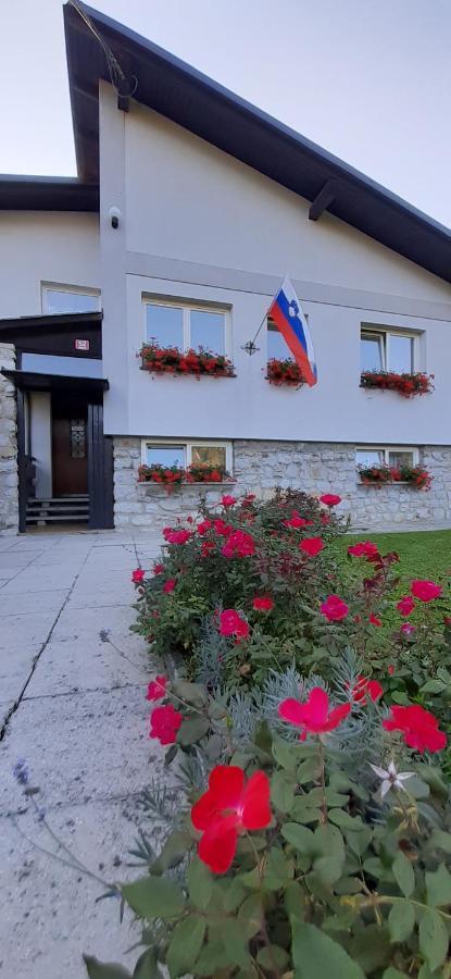 Apartmaji Mojca Guest House Križe Екстериор снимка