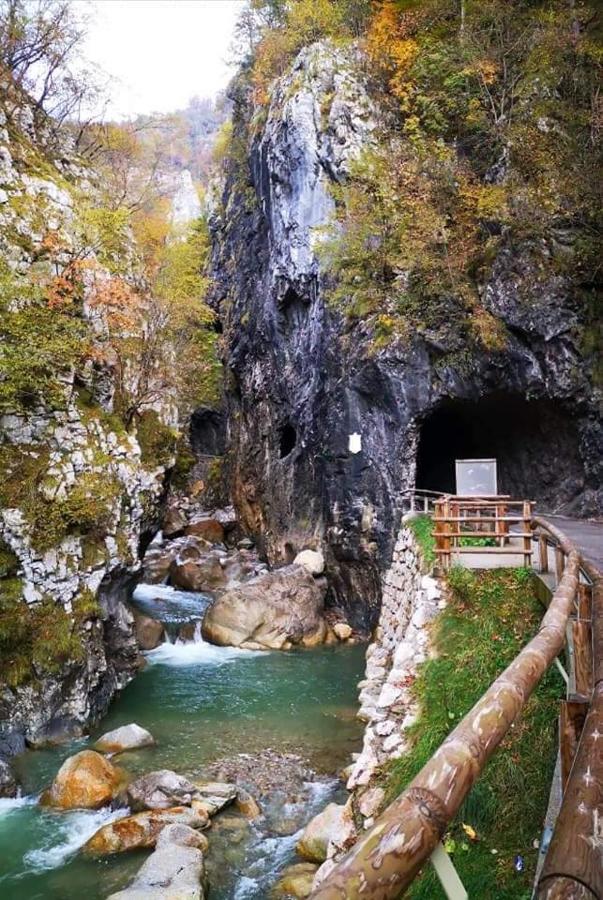 Apartmaji Mojca Križe Екстериор снимка