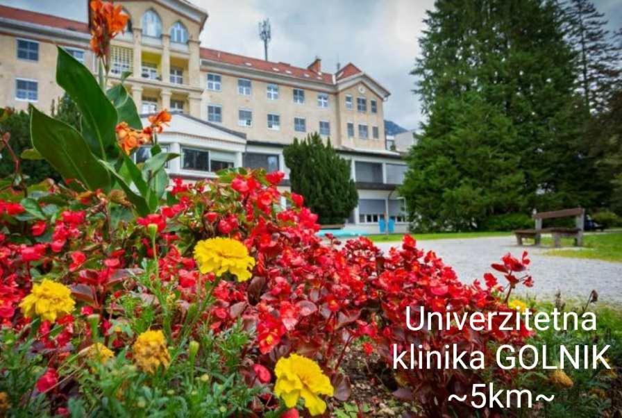 Apartmaji Mojca Križe Екстериор снимка
